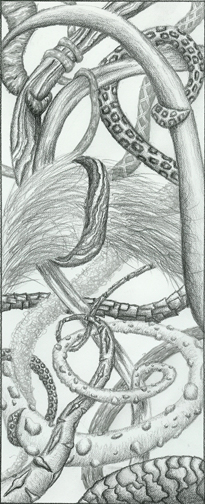 drawing_texture_lg 