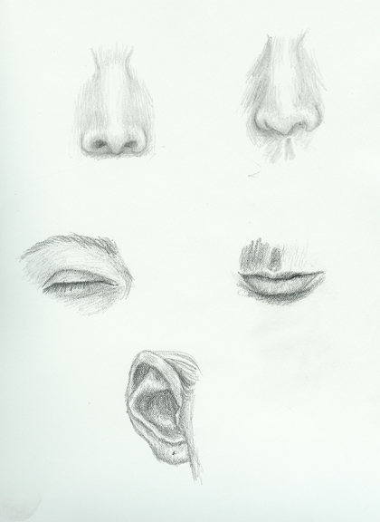 facial_features2_lg 