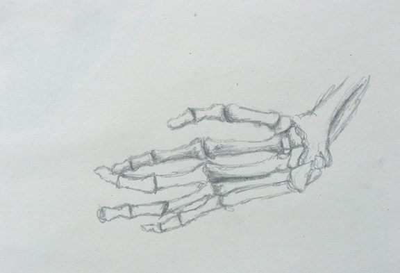 hands_skeleton 