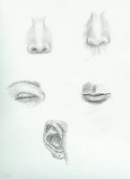 facial_features2_lg 