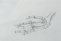 hands_skeleton 