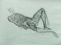 man_contour_trace_lg 
