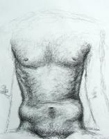 man_torso_lg 