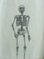skeleton_lg 