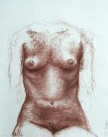 woman_torso_lg 